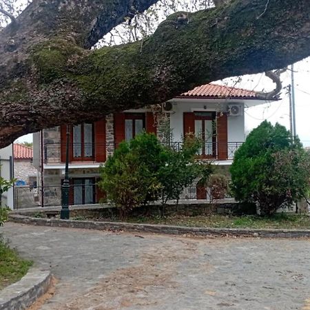 Villa Iris Misztrász Kültér fotó