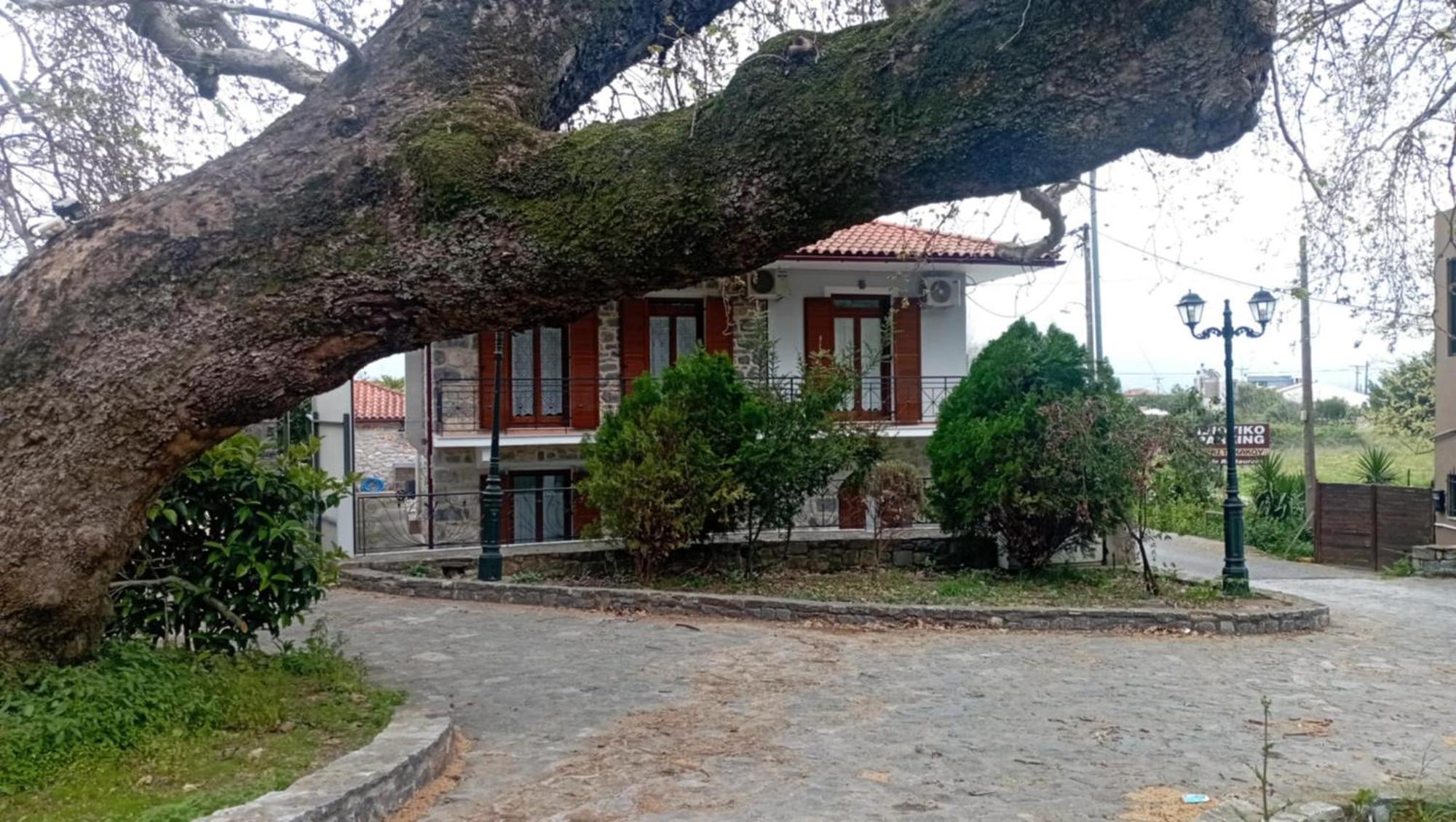 Villa Iris Misztrász Kültér fotó